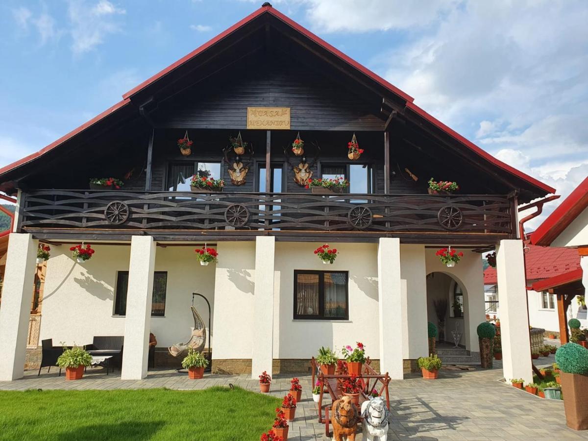 Casa Alexandru - Locul In Care Te Simti Acasa Hotel Viseu de Jos Eksteriør billede