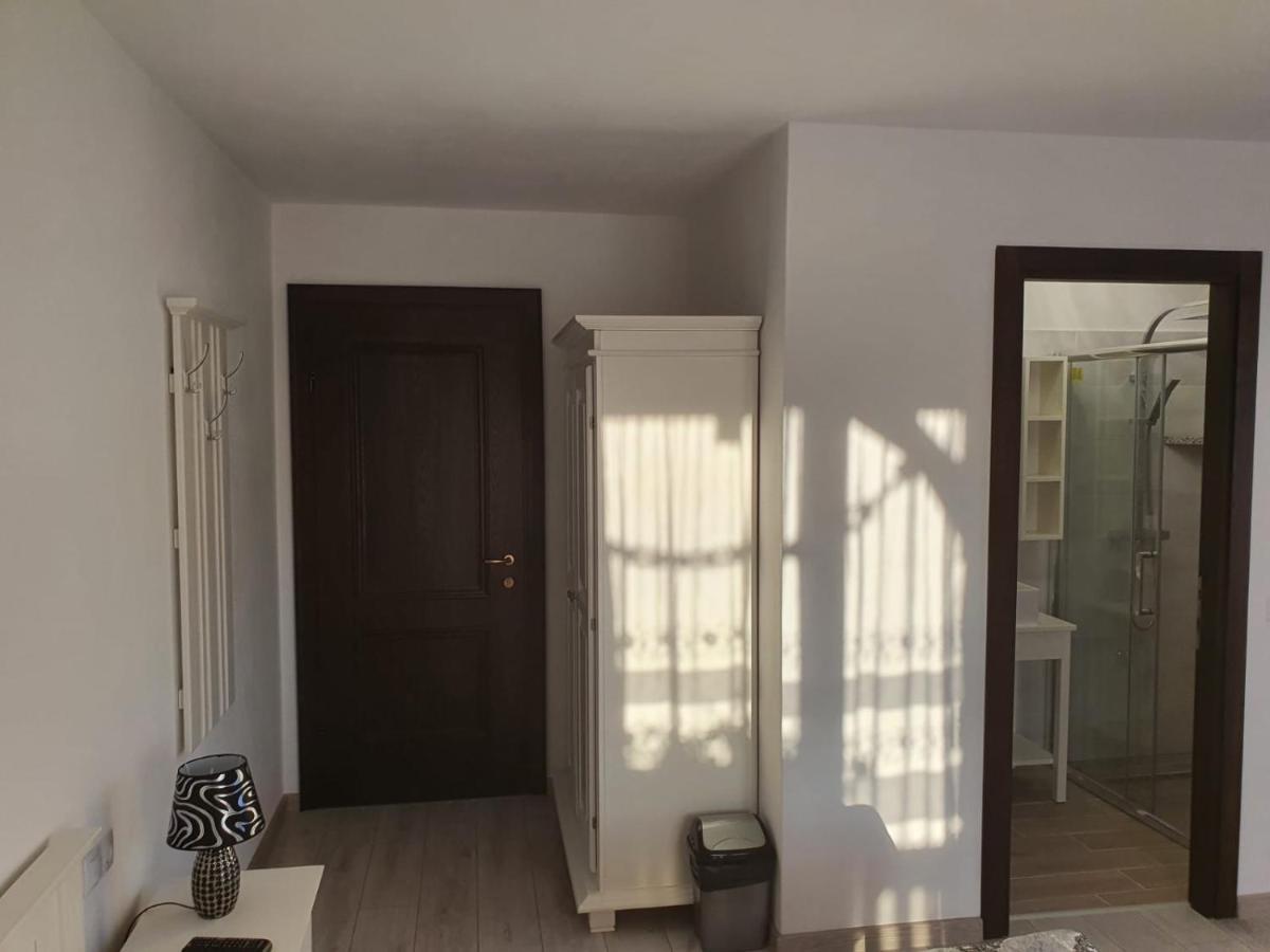 Casa Alexandru - Locul In Care Te Simti Acasa Hotel Viseu de Jos Eksteriør billede